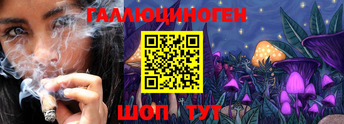 Королёв  Псилоцибиновые грибы прущие грибы  Вход с VPN 